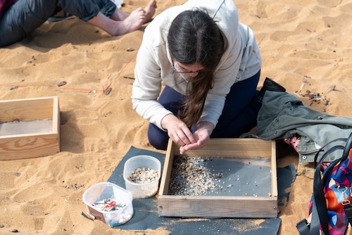 Macromuestreo de pellets en playa de Cavallería el 24 de abril
