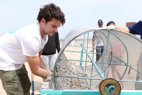 Macromuestreo de pellets en playa de La Pineda (Vila-Seca) el 30 de abril