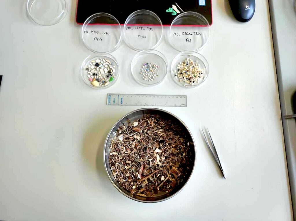 Processing samples of microplastics in the laboratory