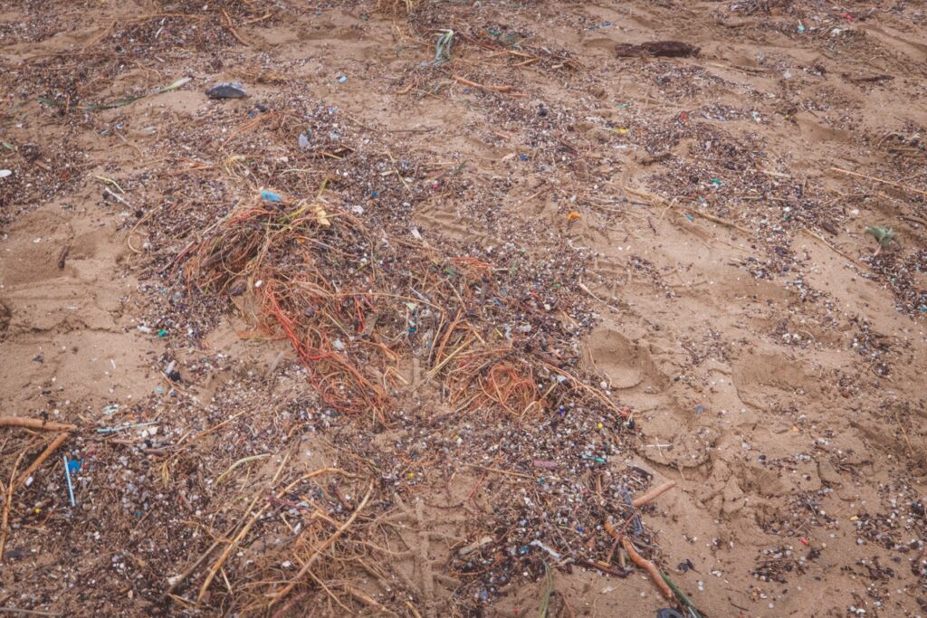 Contaminación por pellets de plástico en la playa larga de tarragona
